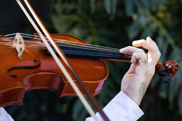 Violons le petit guide pour les débutants